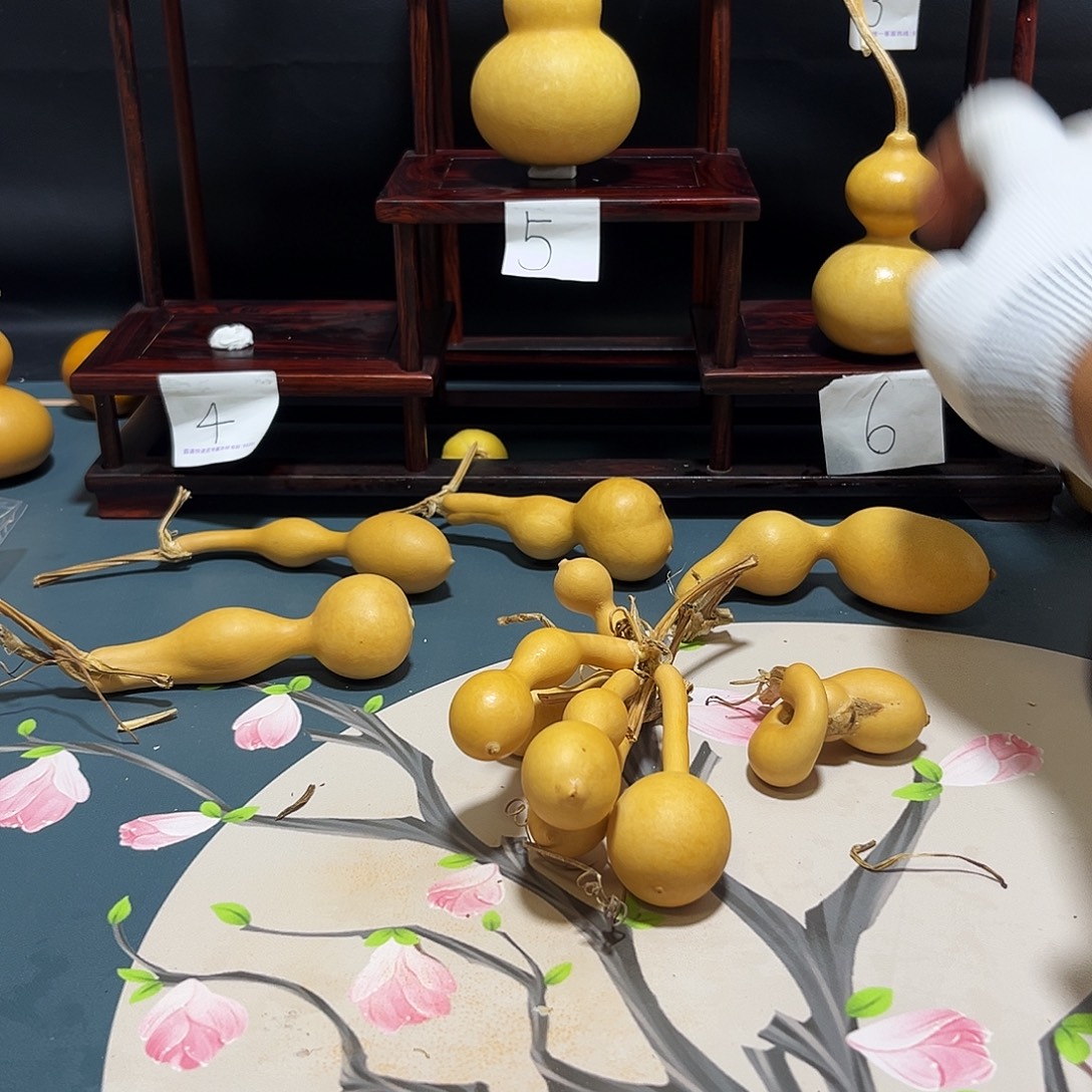 舅舅舅舅舅舅舅舅舅舅舅舅