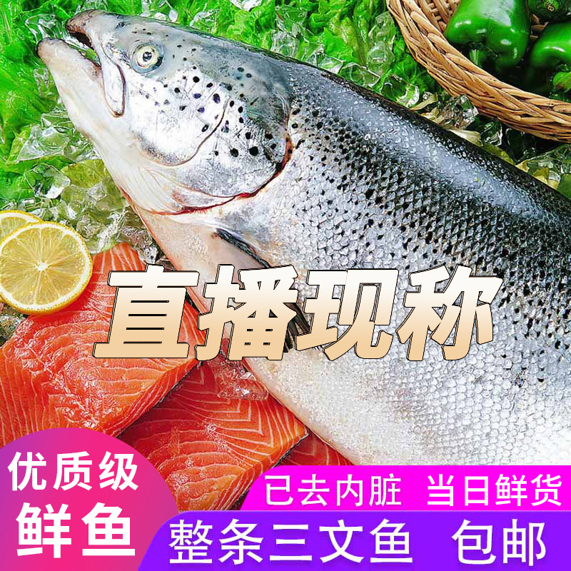 【1号】海水养殖三文鱼 现称现发