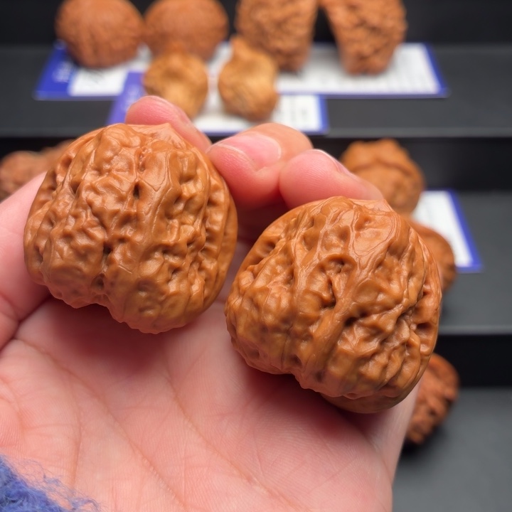 核桃小蛤蟆头34尺