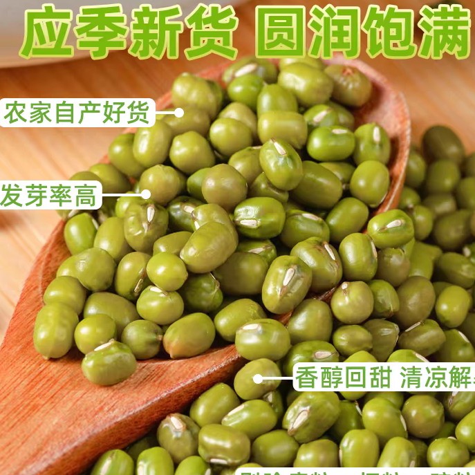 【张小仙】25年新农家芽绿豆出芽率高煮粥煮汤生豆芽