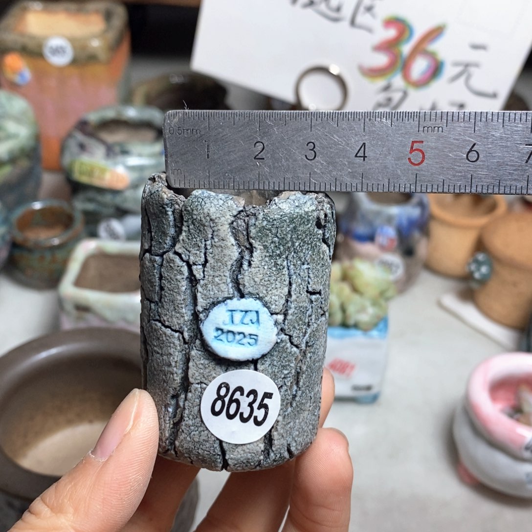 花盆双十二活动不退不换的原28元一个