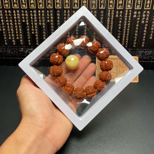 新品，满肉梅花（3号）