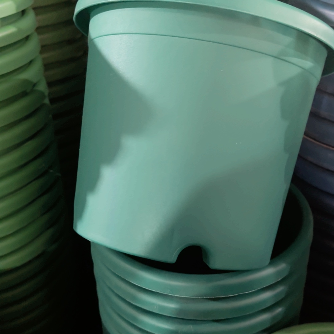 树脂特价3#深绿10个无拖