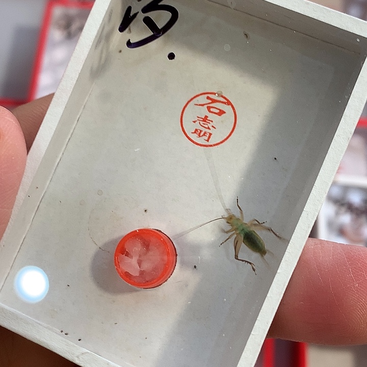 汐***哈哈哈哈哈哈哈哈哈哈哈哈