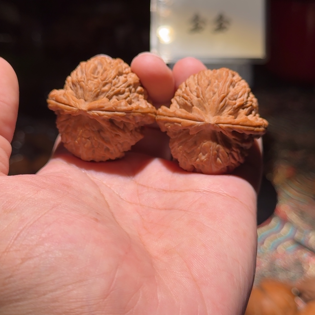 把件核桃1417粗楞球白，尺寸43