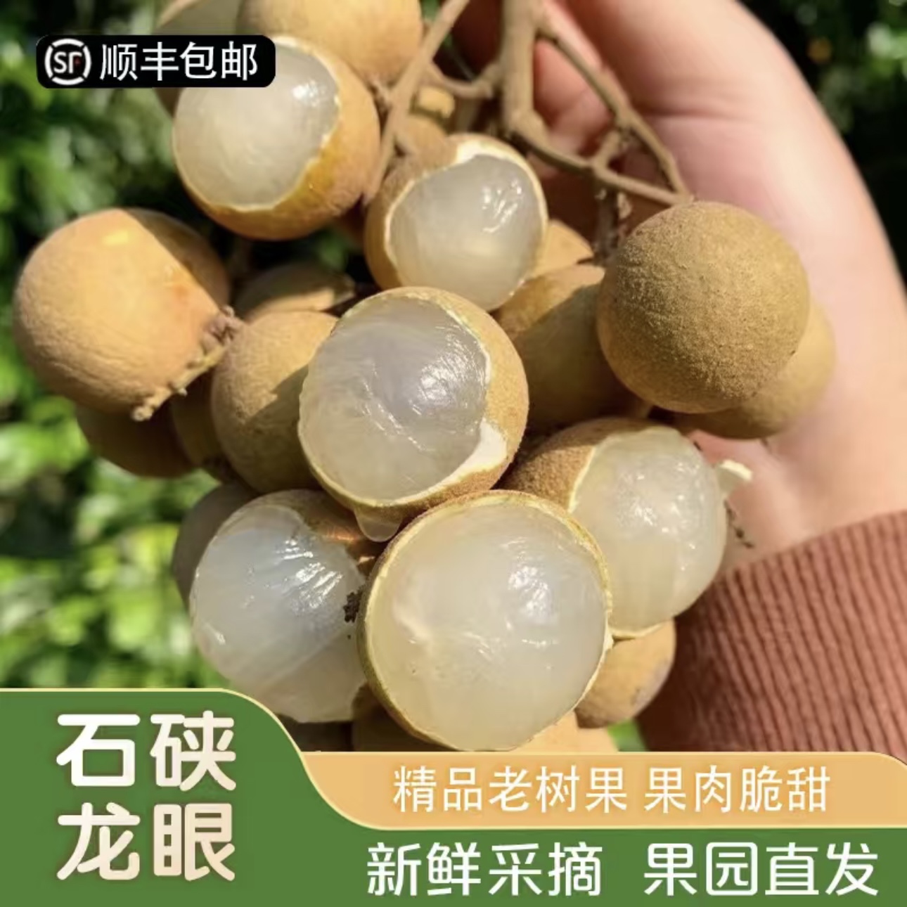 【顺丰包邮】广东正宗石硖龙眼肉厚多汁当季孕妇水果新鲜采摘T