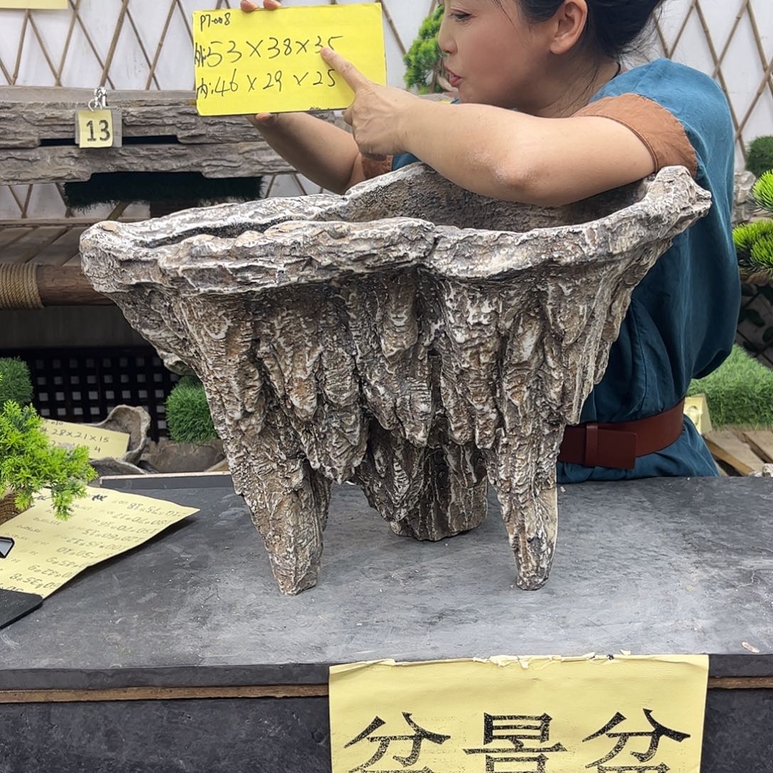盆景盆盆景盆P7-008