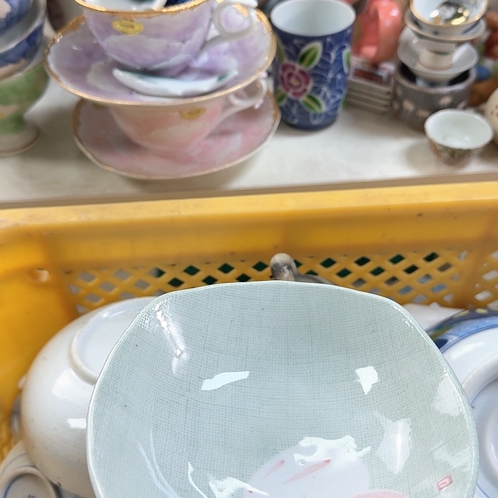 壶开播啦….开播啦