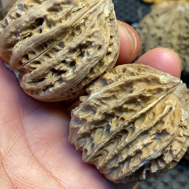 吊坠文玩核桃娜姐51