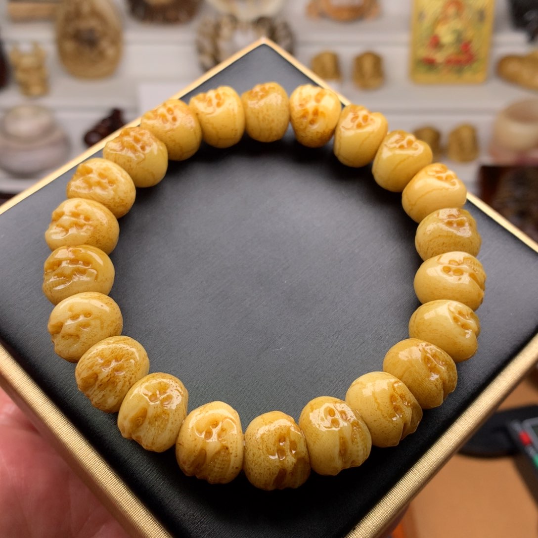 驼骨其他  12阿呆单圈