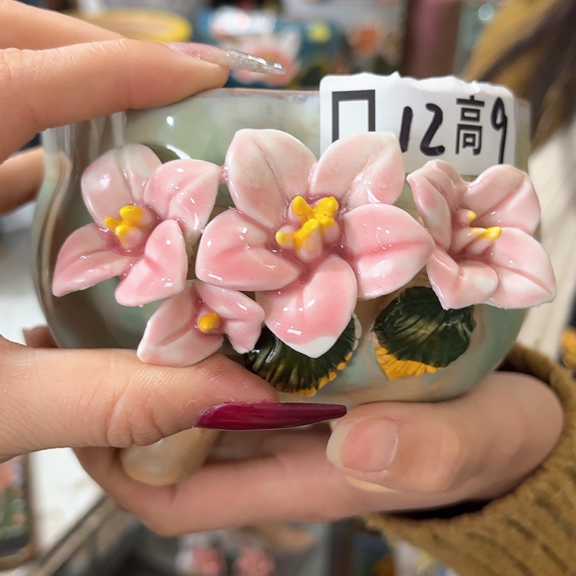 【闪购商品】红陶福利