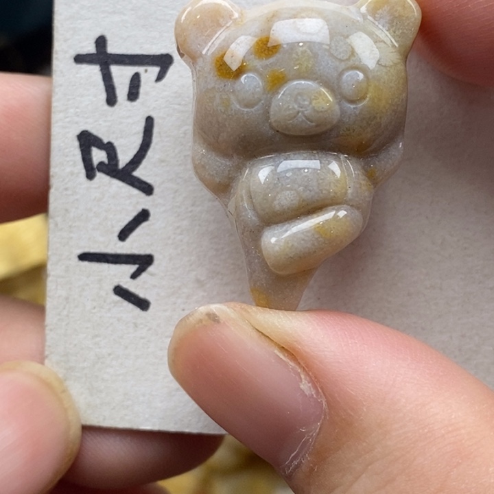 硅化珊瑚（珊瑚玉）未镶嵌颈饰