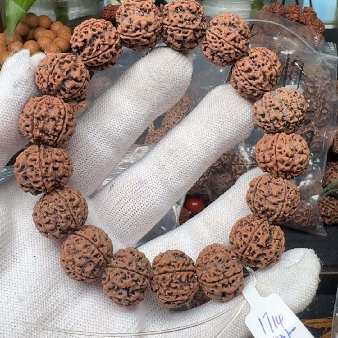 金刚菩提手串17安娜五星蜂窝双龙