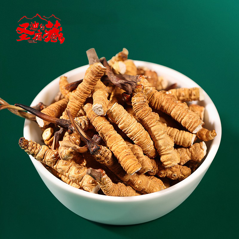  西藏那曲比如冬虫夏草大断草  精选新干虫草