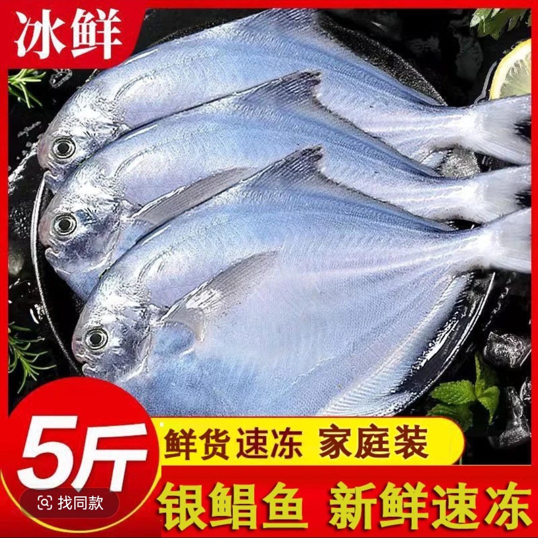 王炸福利：【顺丰】6斤大银鲳鱼海捕鲜活银鲳鱼新鲜速冻深海捕捞鲳鱼