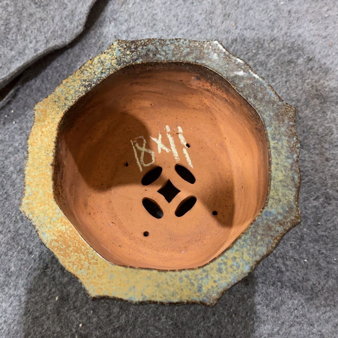 紫砂花盆我的小姐姐们都