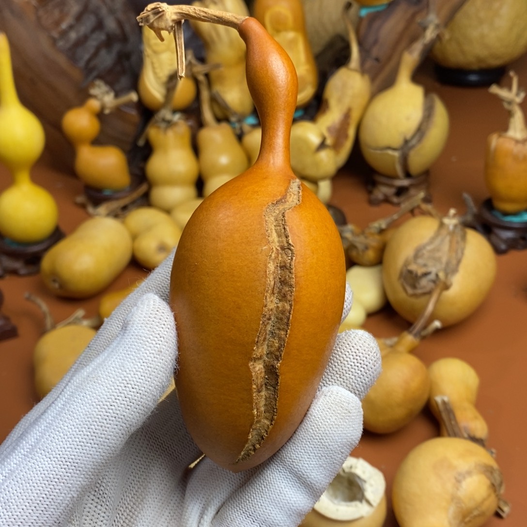 蛮***蛮啦啦教练咯教练咯教练咯