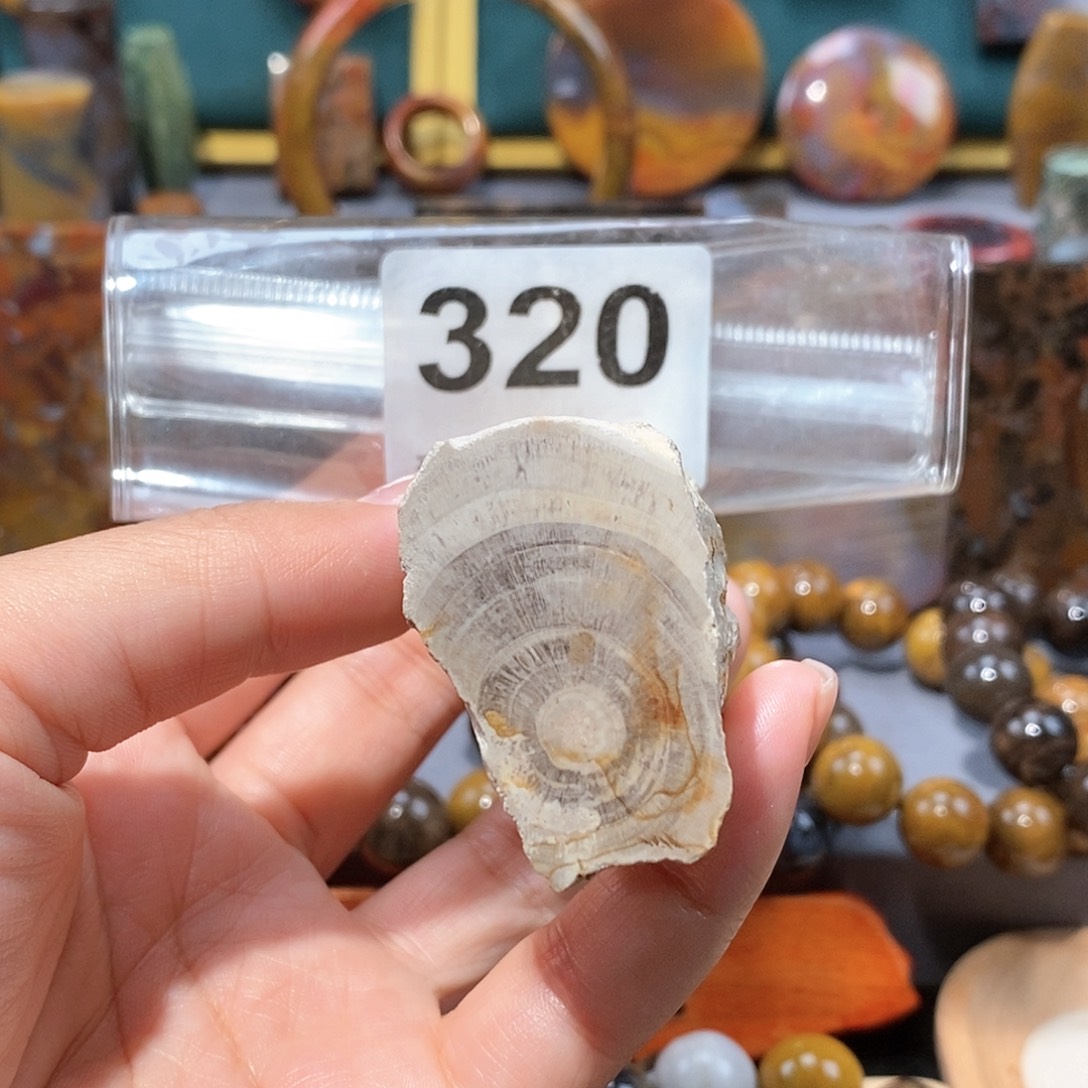 硅化玉天然北票硅化玉原石未镶嵌天然北票硅化玉原石