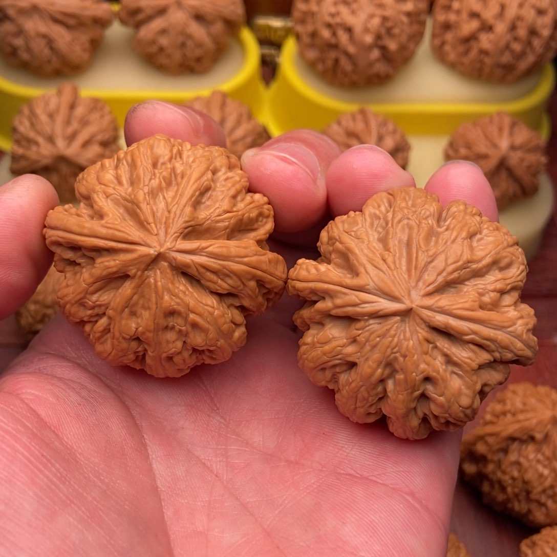 桃核把件M*.绝配大粗筋45