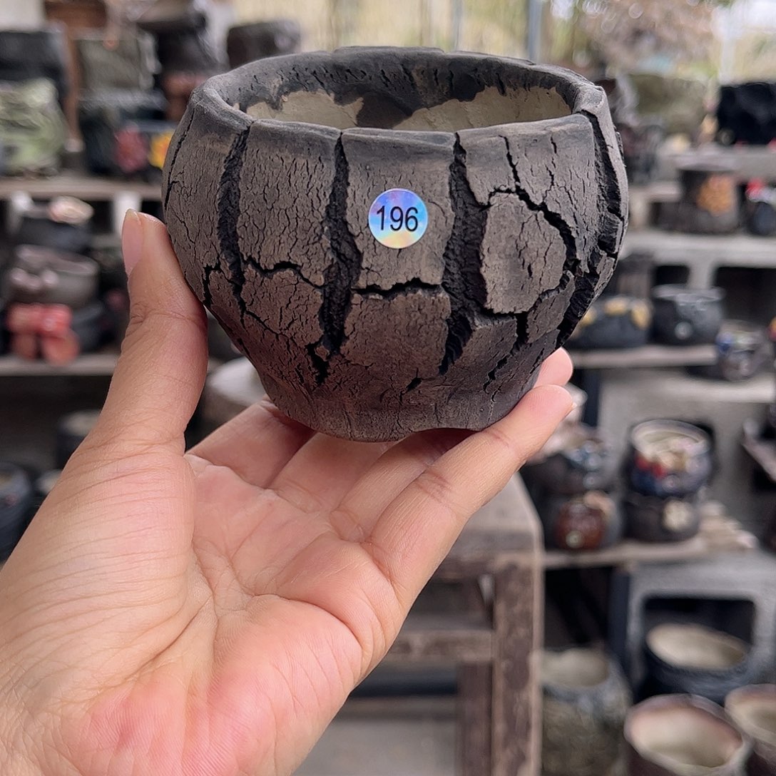 无铅玻璃你们还以为196