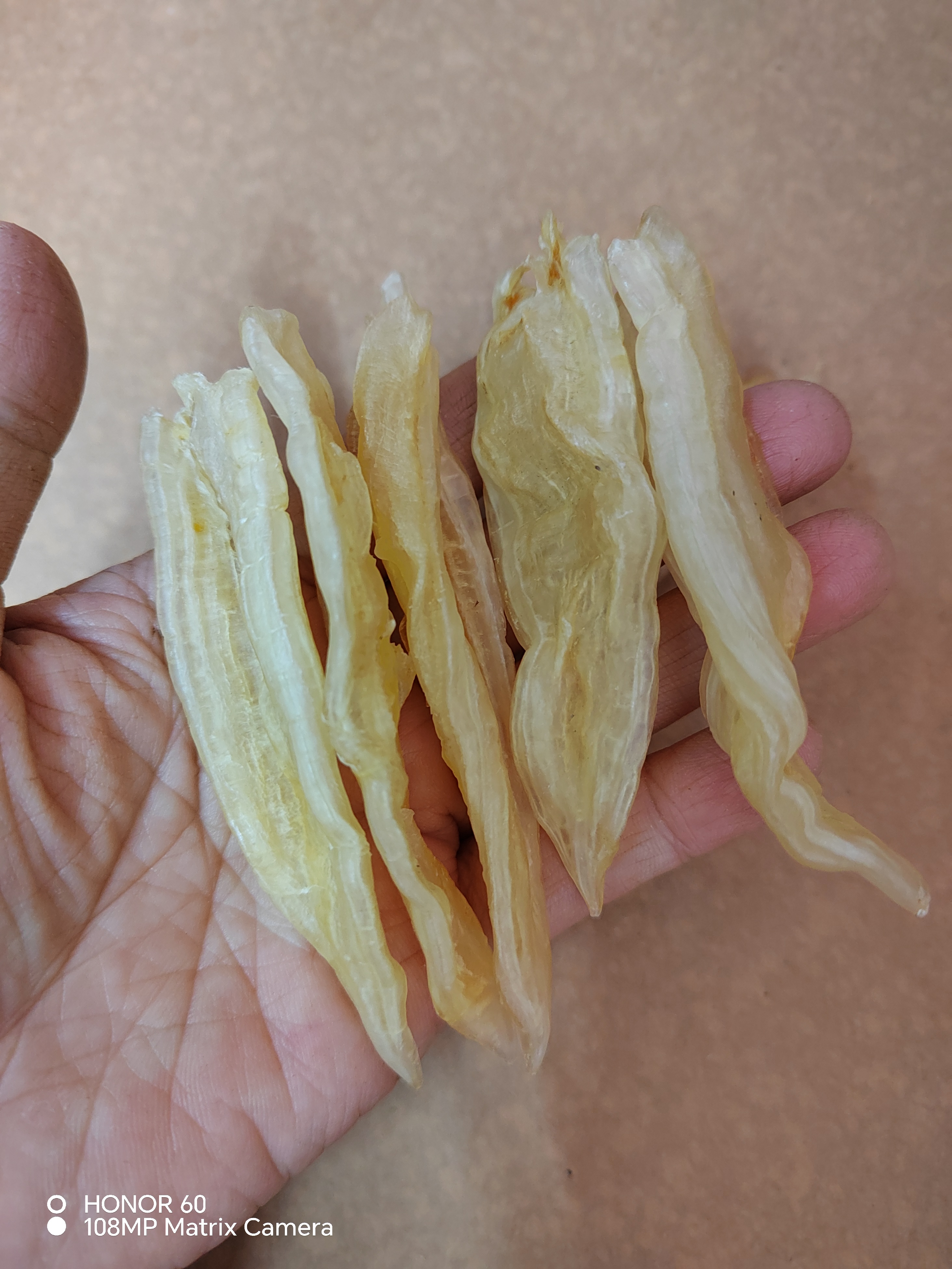 南澳小双背胶250克备孕、产后实惠款滋补佳品