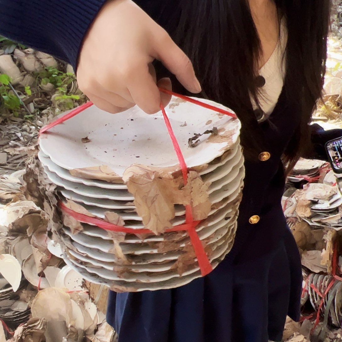 摆件瓷景德镇陶瓷7寸盘10个