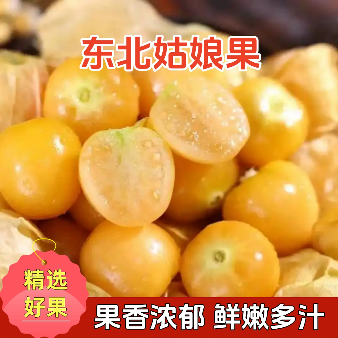【香甜多汁】东北姑娘果灯笼果香甜可口新鲜应季产地直发