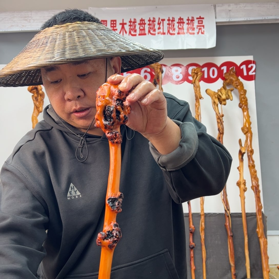 黑果木其他黑果木364