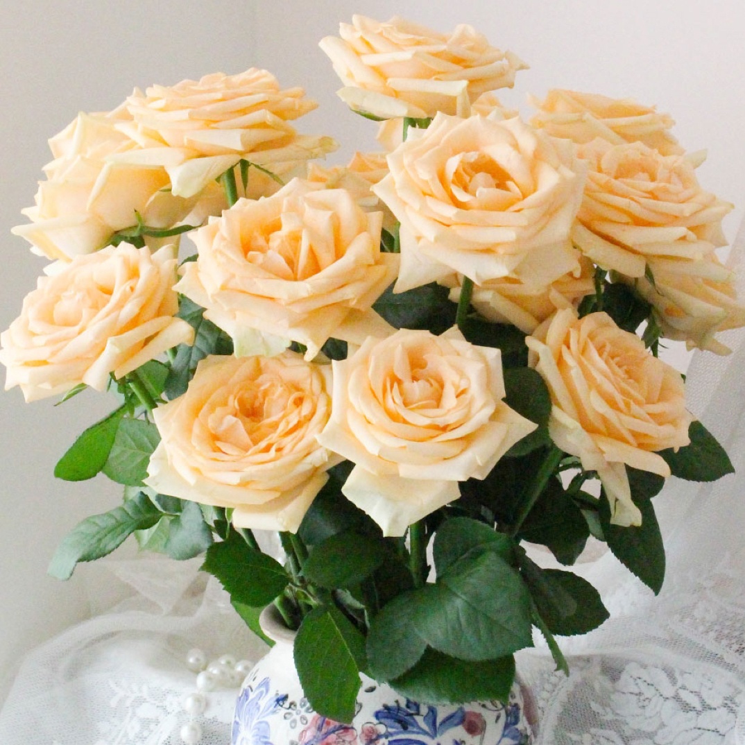 《百亿香槟玫瑰》全场鲜花两单送配草三单送花瓶 拒收不售后