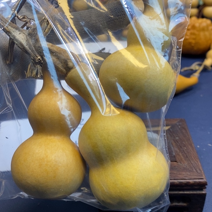 午***马这个时候应该可以