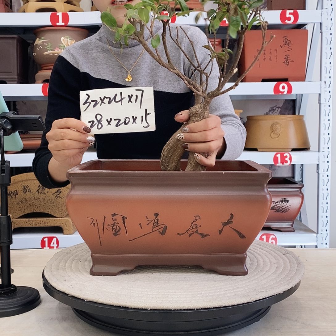 紫砂花盆紫砂花盆