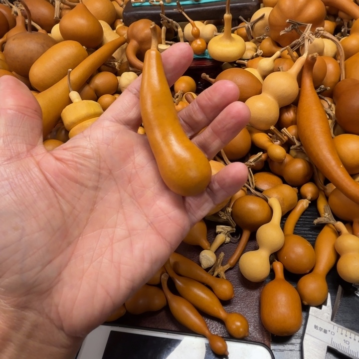 小****画黑老师教画画的一把本章葫芦