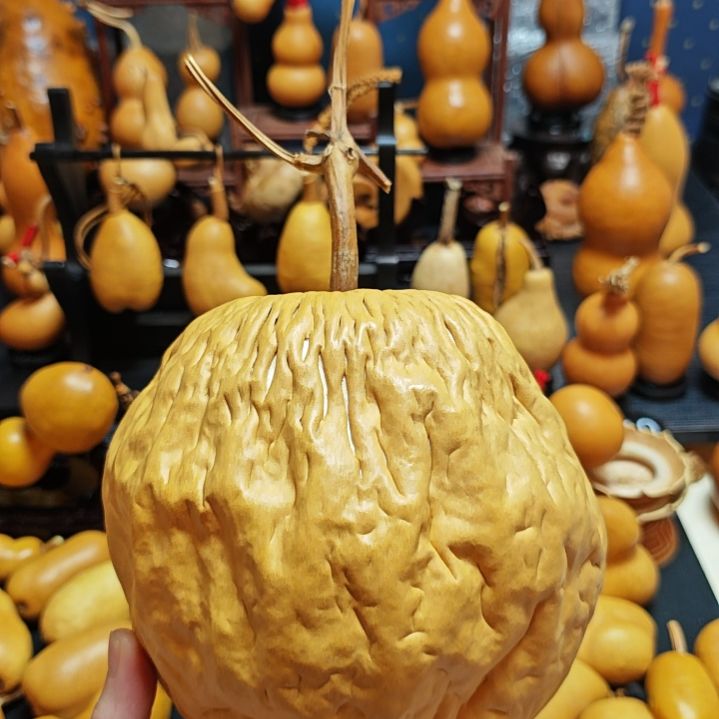 蝉***飞直播间链接葫芦葫芦