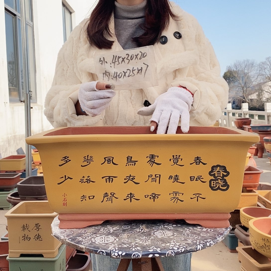 紫砂花盆紫砂花盆