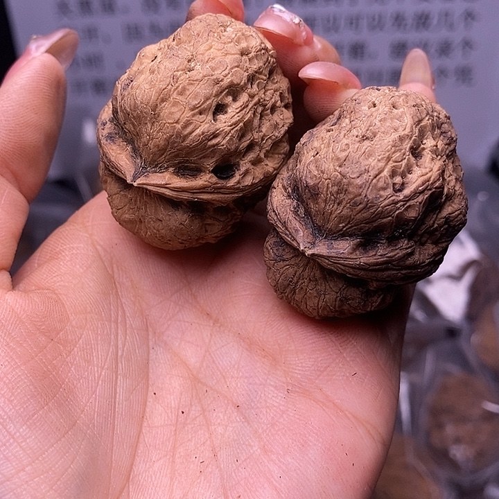 核桃云南野生铁核桃187号42mm