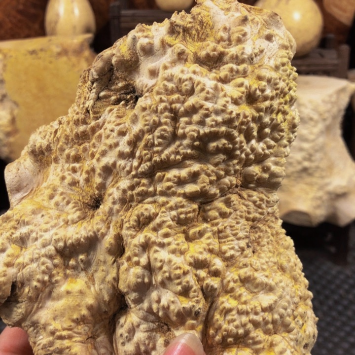 木善木料木料木料木料