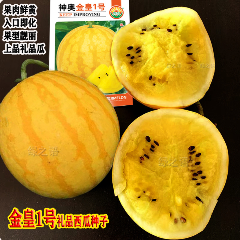 金皇1号黄皮黄瓤西瓜种子种植适应春播坐果好品质佳礼品西瓜种籽