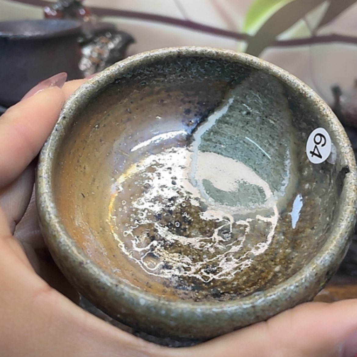 【闪购商品】福利福利福利福利