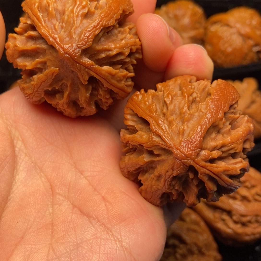 文玩核桃把件秦岭山脉核桃