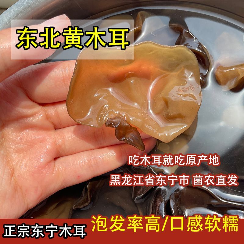 东北黄木耳，泡发高，口感软糯