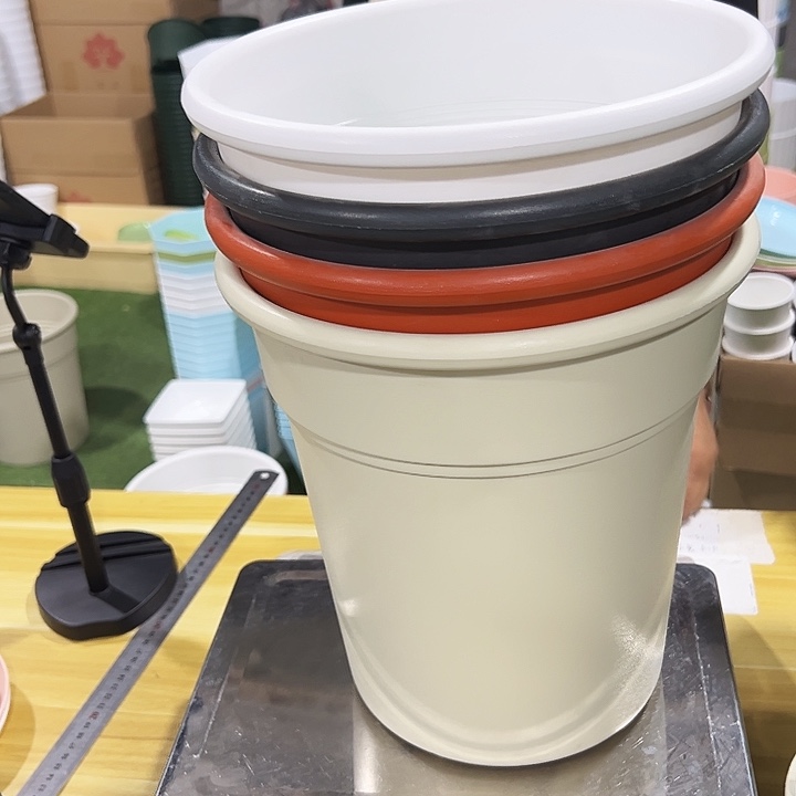 翻边口26高28混色无托4只