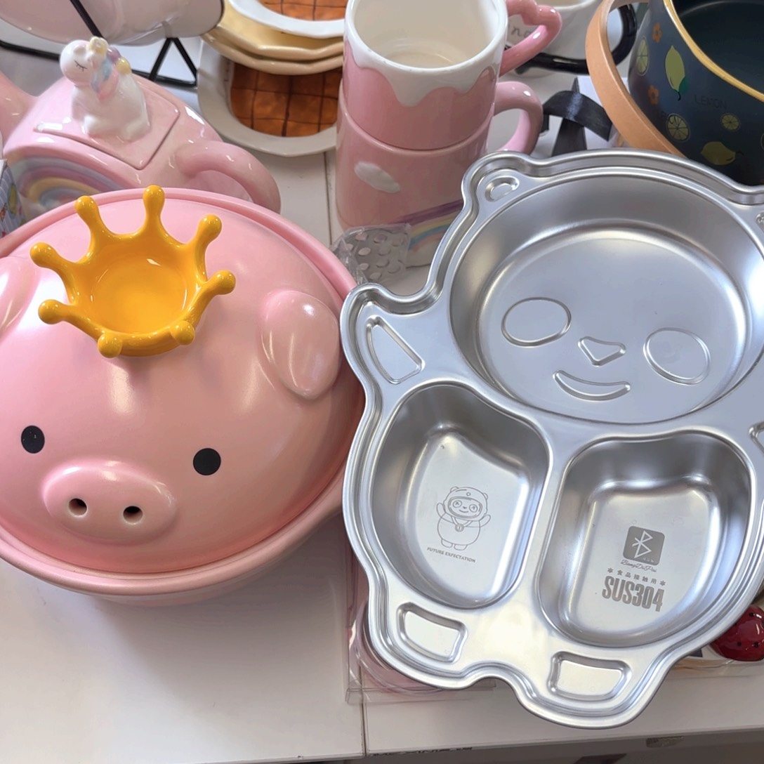 珐琅砂锅和不锈钢餐盘