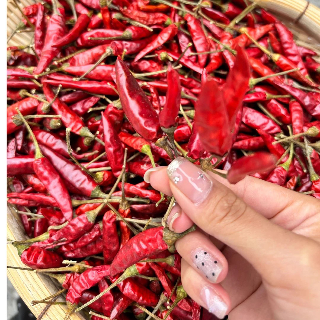 【250g，500g】贵州高山农家小米椒