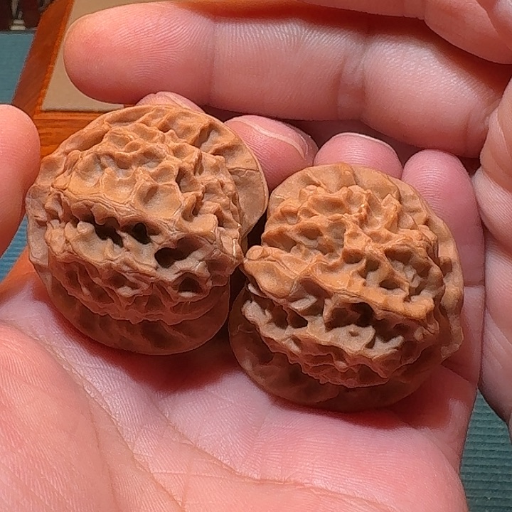 全品龙鳞纹尺寸40精配