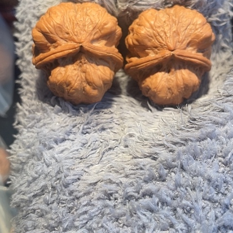 文玩核桃把件聚宝盆带彩40