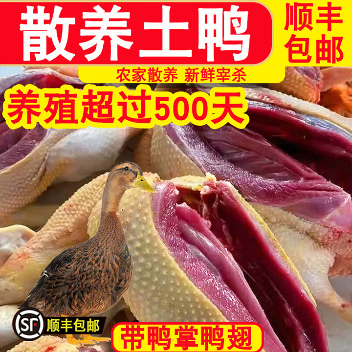 老鸭子500天农家散养土鸭新鲜冷冻鸭肉整只煲汤食材老鸭批发包邮
