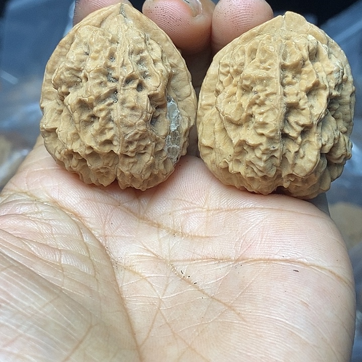 把件文玩核桃云南铁核桃基地97