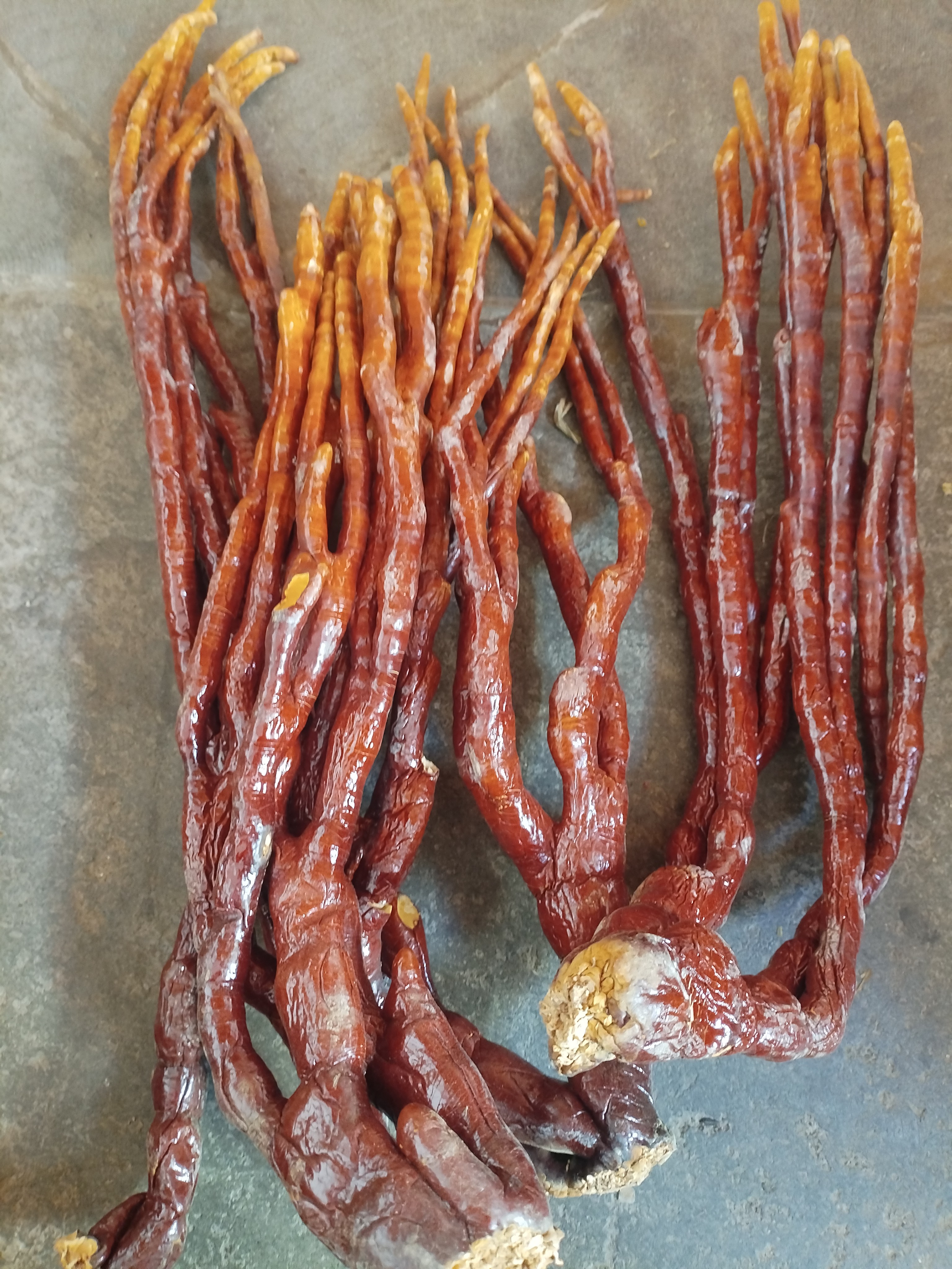 土特产≈[鹿≈角≈林≈纸]非香菇