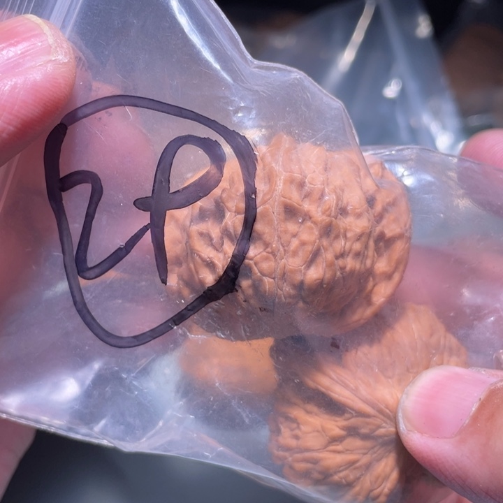 文玩核桃吊坠29呃呃呃