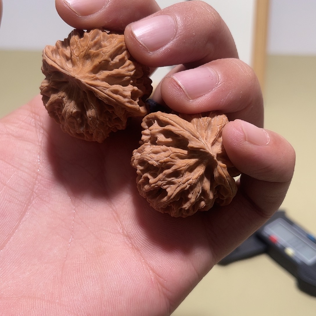 长***穹大叶紫檀（黑酸枝木类）